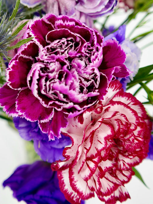 Purple Lush