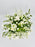 White Garden