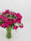 Cerise Beauty