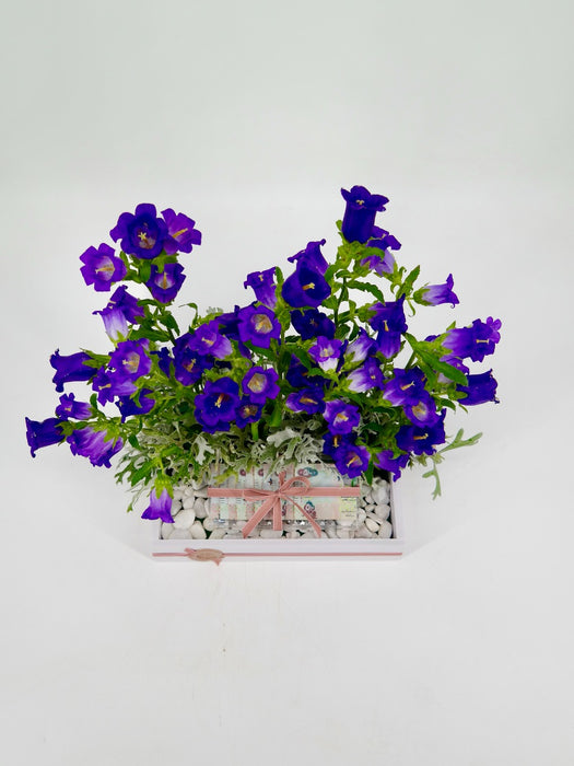 Campy Money Arrangement
