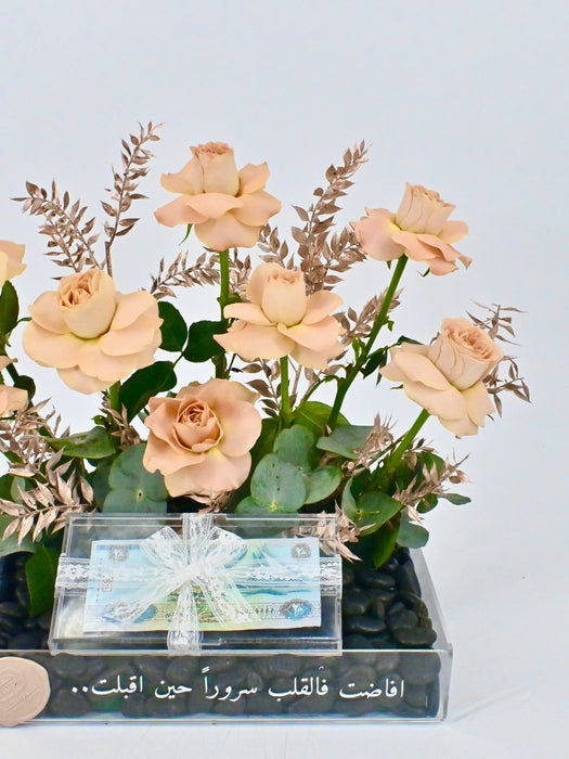 Cappucino Money Arrangement