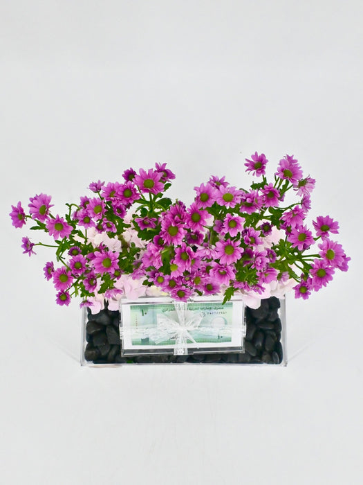 Krissy Money Arrangement