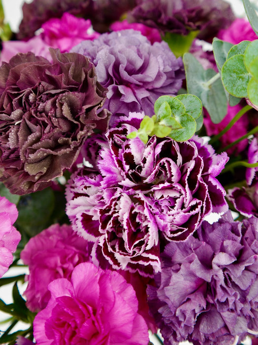 Dark Garden