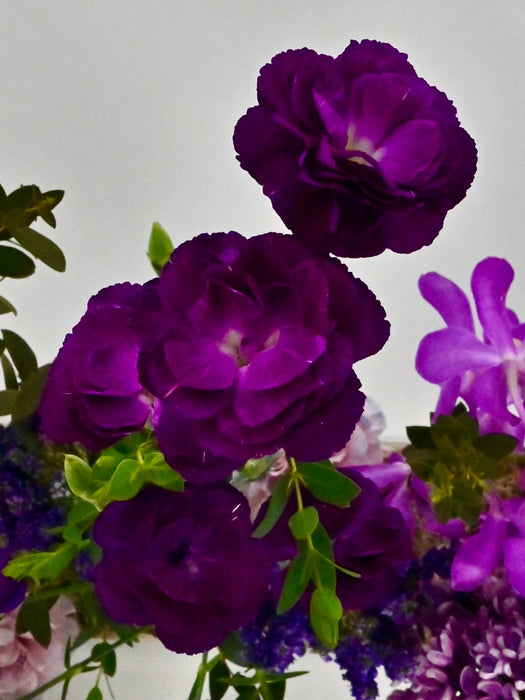 Moon Velvet Garden