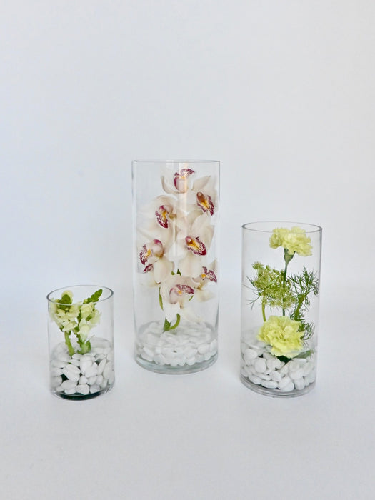 Cymbidium  Vase Set