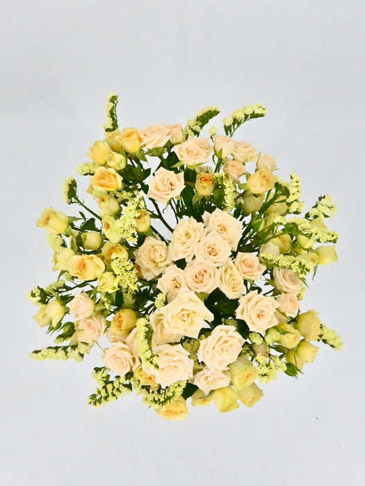 Sali Bloom