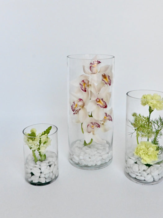 Cymbidium  Vase Set