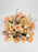 Shimmering Peach