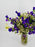 Campanula Garden