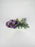 Vanda Mauve Plum
