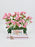 Odilia Money Arrangement