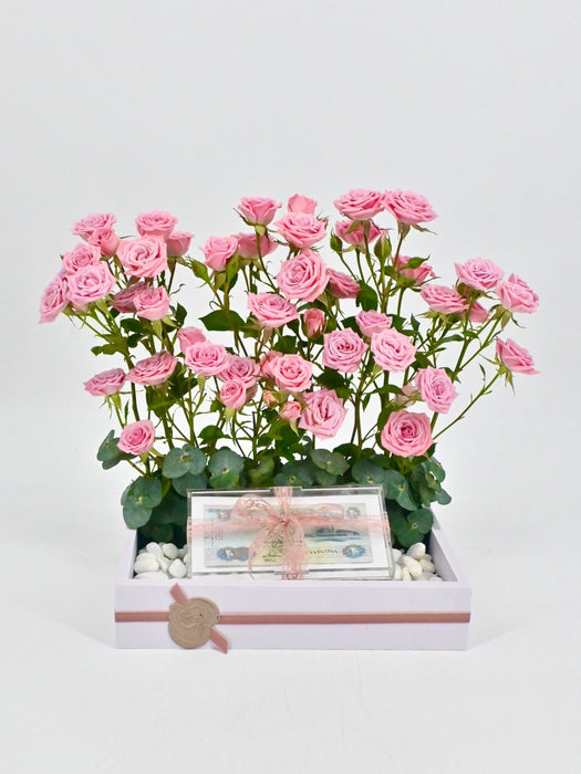 Odilia Money Arrangement