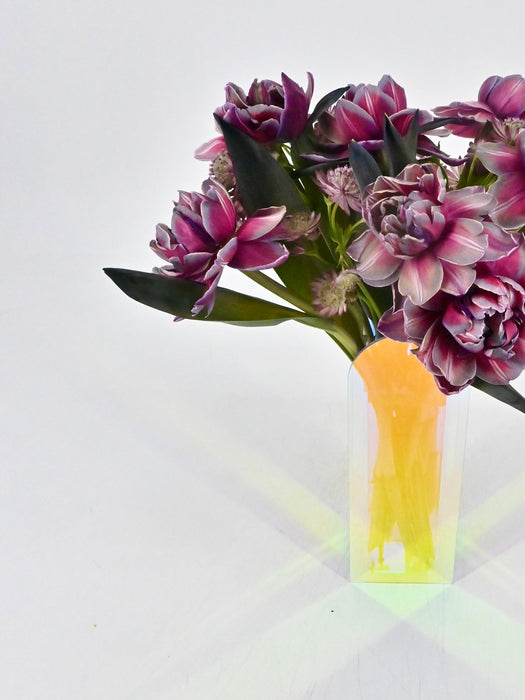 VIP Tulips