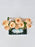Cappucino Money Arrangement