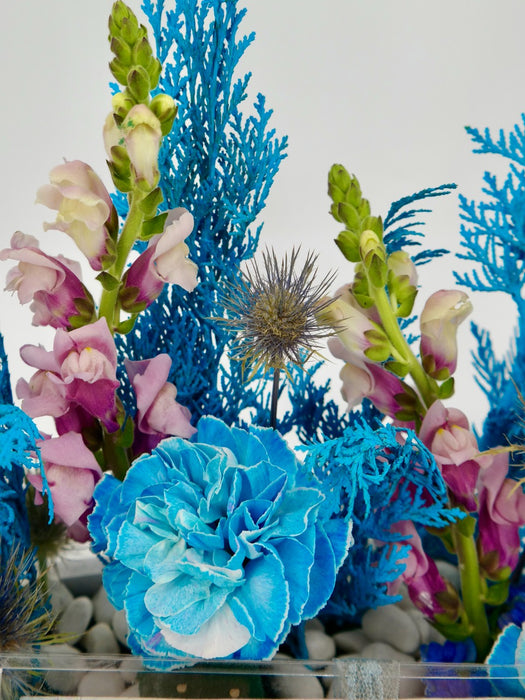 Blissfull Blue