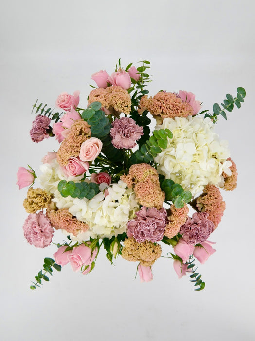 Celosia