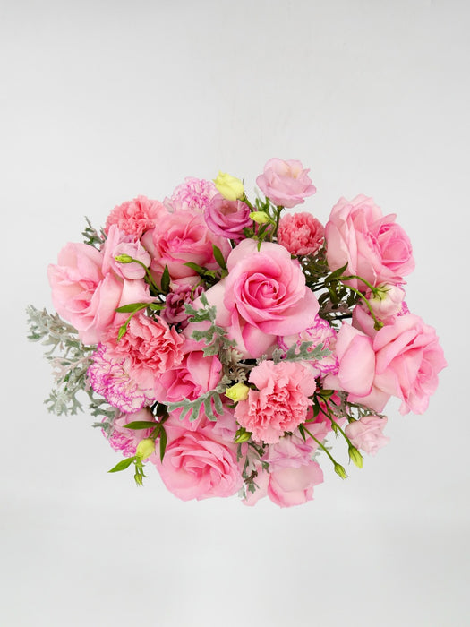 Pink Blooms