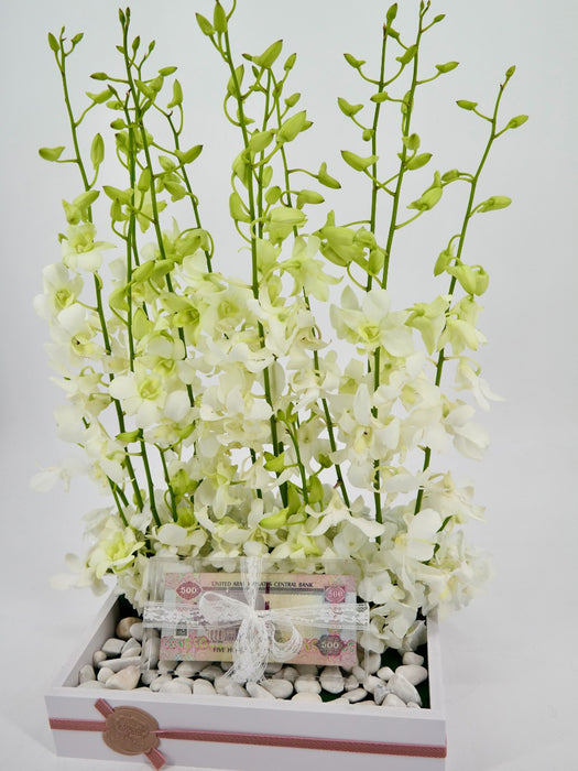 Dendrobium