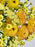 Yellowish