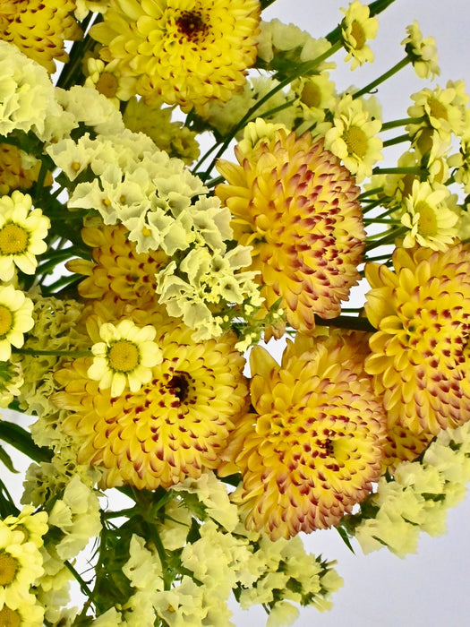 Yellowish