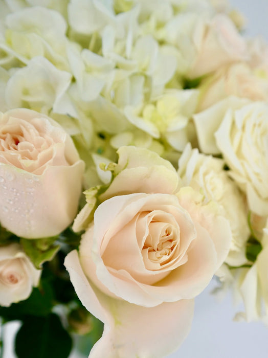 Creamy White