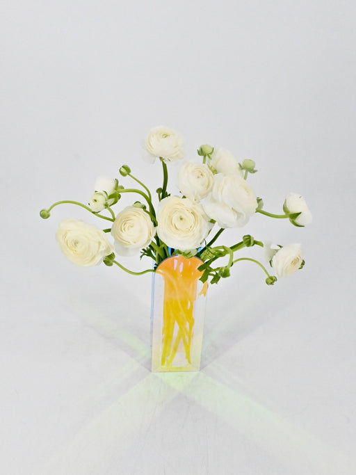White Elegance