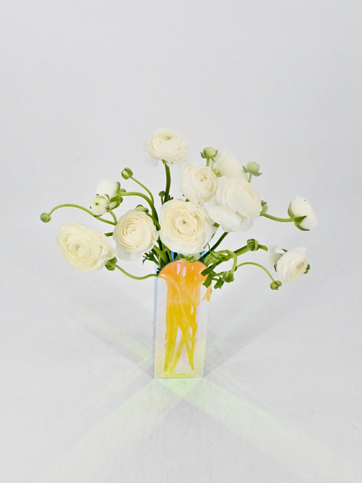 White Elegance