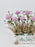 Chrysi Money Arrangement
