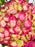 Force Pink