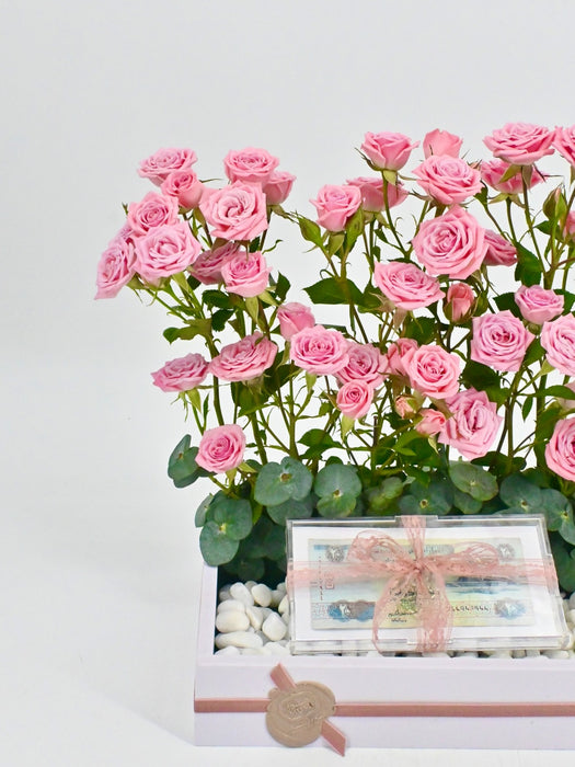 Odilia Money Arrangement