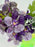Vanda Mauve Plum
