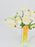 White Elegance