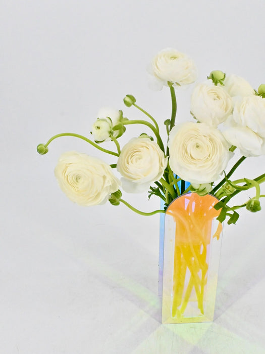 White Elegance
