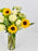 Sunflower Garden