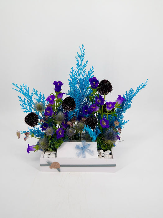 Scabiosa Money Arrangement