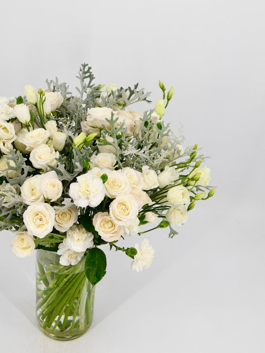 Polaris White Beauty