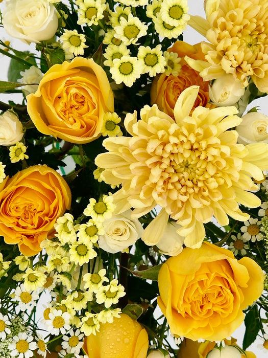 Sunny Garden