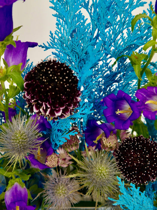Scabiosa Money Arrangement