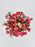 Raspberry