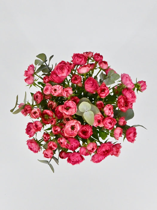 Raspberry