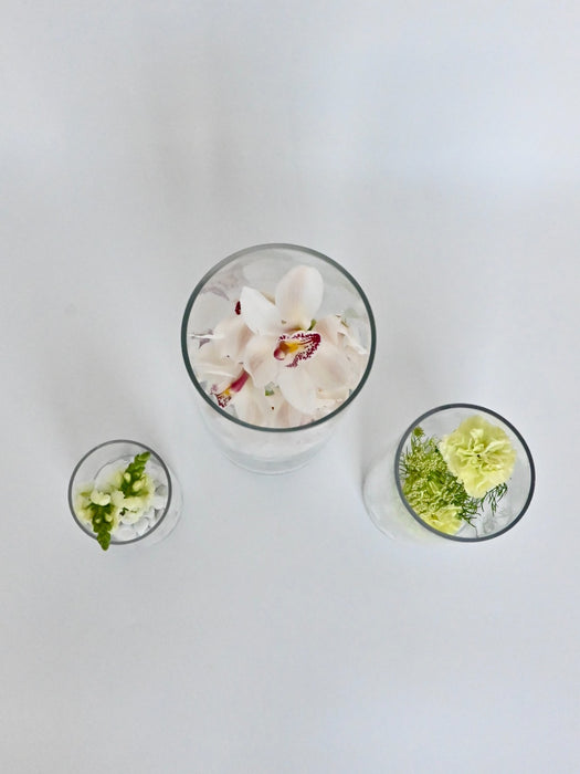 Cymbidium  Vase Set