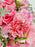 Pink Blooms