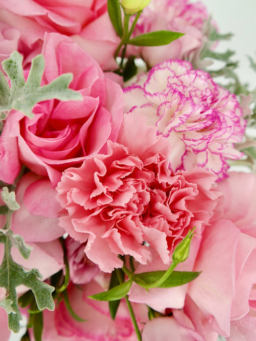 Pink Blooms