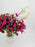 Snowberry Mist