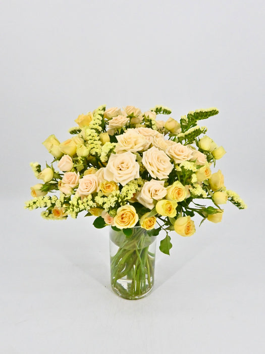 Sali Bloom