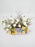 White Carni Money Arrangement