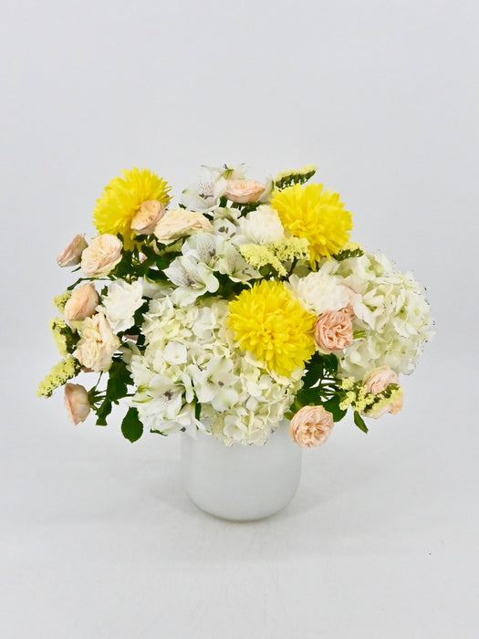 Whites & Yellow