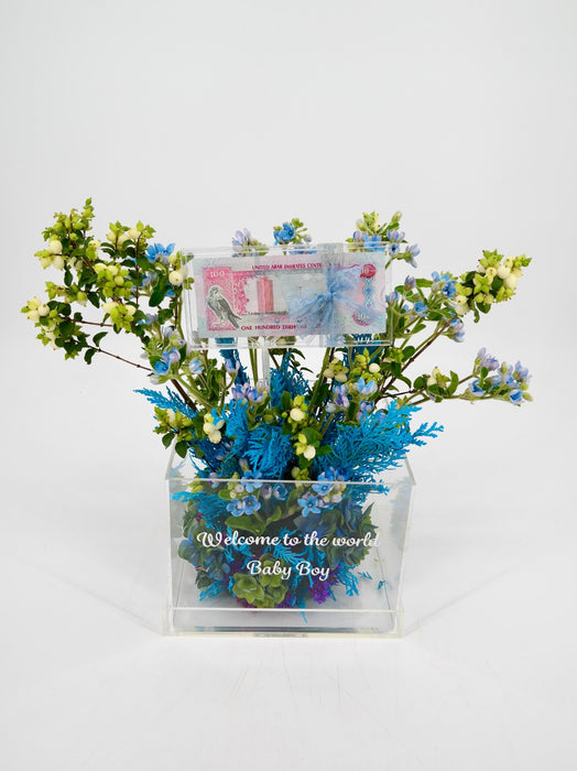 Oxy Baby Money Arrangement