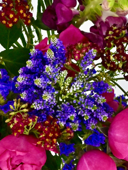 Veronica Beauty