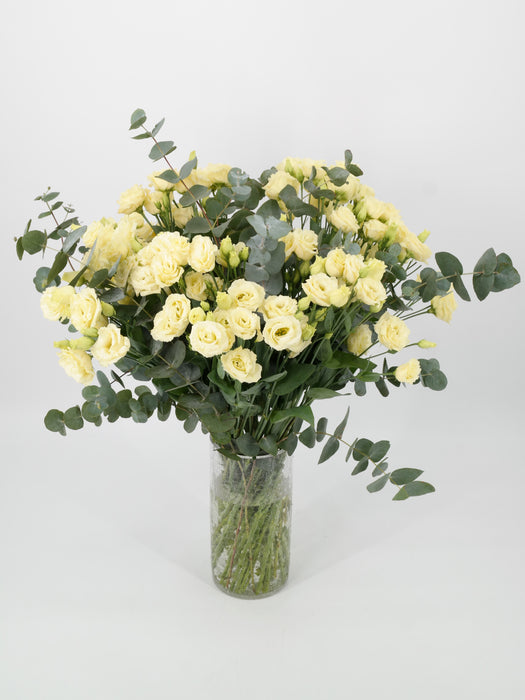 Lisianthus Yellow Star